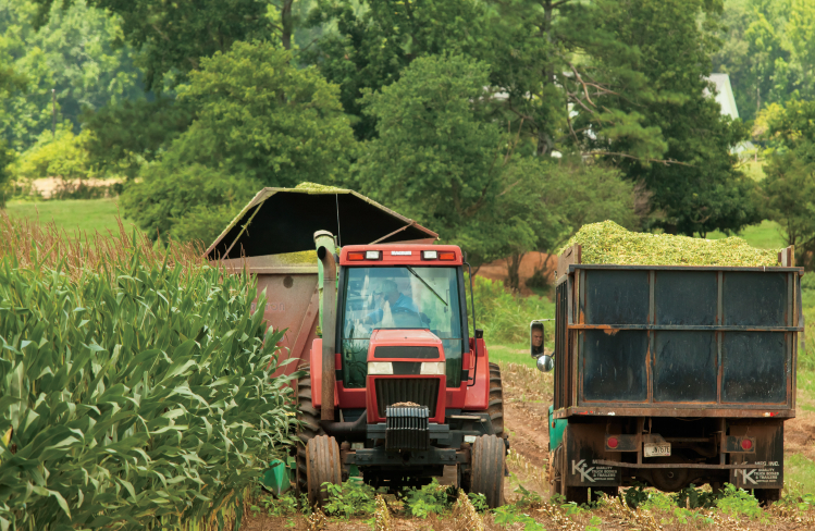 GH Agri report 24 cover photo